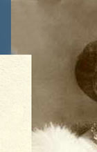 Diamond Brooch pendant koechert - köchert Wedding Gift of the Emperor Royal Imperial Jewels Diamant Brosche  Prinzessin Victoria-Luise Koechert | Hochzeitsgeschenk des Kaiser von Österreich| Royal Imperial Jewels The royal wedding gifts | Princess Viktoria Luise of Prussia Duchess of Brunswick Lüneburg Hannover