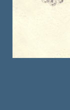 Diamond Brooch pendant koechert - köchert Wedding Gift of the Emperor Royal Imperial Jewels Diamant Brosche  Prinzessin Victoria-Luise Koechert | Hochzeitsgeschenk des Kaiser von Österreich| Royal Imperial Jewels