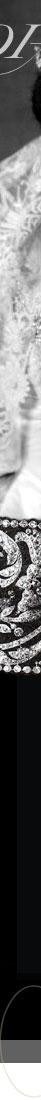 Cartier Diamond Choker |Gladys Vanderbilt Wedding Jewels| Countess Gladys Szechenyi |  |Imperial-Royal Austria Hungary Jewel History gladys vanderbilt,countess szechenyi,vanderbilt szechenyi,large important diamond,pearshaped diamond 62,09ct diamond,diamond necklace,collier,important,amethysts,amethyst,wedding gift,marriage,presents,corbeille de mariage,vanderbilt,jewellery,royal jewels,schmuck,62,09 diamond,diamand,diamonds,schmuckankauf,royalty,royals,jewelry,schmuck,diademe,golden age,gilded age,vanderbiltfamily,the breakers,corneliusvanderbilt,harry winston,gladys vanderbiltcountess szechenyi,countess gladys szecheny vanderbilt,amethyst jewels,amethyst choker,amethyst collier de chien,amethyst dog collar,amethysts,amethyst necklace cartier dog collar,cartier choker,cartier vanderbilt choker,amethyst diamond jewellery,amethyst