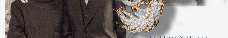 Princess Liliane of Belgium