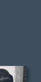 Marquise Schliff,Maria Callas,Brooch,Rubies,Ring, Rubin,Collier,Geschenk,treasure trove,jewel,brosche ,Van Cleef und Arpels,schmuck,Geschenke,Mann,diamant,diamonds,jewels,collector of fine jewellery,la divina,die Diva,Onassis,jewelry,earrings,necklace,collier,Schmucksammlungen,Juwelensammlerin, gift,gifts,sale