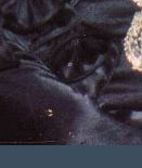 thyssen,baronen thyssen,stomacher,thyssen,Reina Mara Cristina 
Brosche,Brooch,Geschenk,treasure trove,jewel,schmuck,Geschenke,diamant,diamonds,jewels,passion,collector of fine jewellery,Besitz,jewelry,necklace,Schmucksammlungen,Juwelensammlerin,gift,gifts,collecting,brillants anciens, pierres de couleur,THYSSEN Jewels Important Ruby Jewelry|Tita Baronin von Thyssen-Bornemisza |Reina Mara Cristina