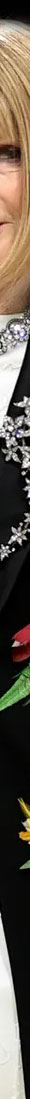 VEVER Diamond Spray Devante de Corsage Ornament Jewelry | Diamond Stomacher Famous Important Jewels History| Metgala 2024 Anna Wintour anna wintour,anna wintour jeweles,vever,vever paris,vever spray brooch,diamond spray,naturalistic flower brooch,greatjewellerycollector,Jewelry,Famous Important Jewels History,jewel historys,corsage ornament,stomacher,devante de corsage,,antique,important,history,imperial,royal jewels,jewellry,jewellery,diamant,diamonds,jewelry history,large diamond spray,vever stomacher,tour de corsage,tour de decollete,vever stomacher,vever spray,vever corsage ornament,metgala,diamond flower brooch,large brooch,broche,joyas,vever paris