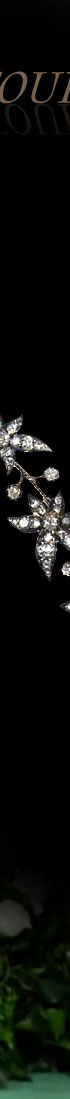 VEVER Diamond Spray Devante de Corsage Ornament Jewelry | Diamond Stomacher Famous Important Jewels History| Metgala 2024 Anna Wintour anna wintour,anna wintour jeweles,vever,vever paris,vever spray brooch,diamond spray,naturalistic flower brooch,greatjewellerycollector,Jewelry,Famous Important Jewels History,jewel historys,corsage ornament,stomacher,devante de corsage,,antique,important,history,imperial,royal jewels,jewellry,jewellery,diamant,diamonds,jewelry history,large diamond spray,vever stomacher,tour de corsage,tour de decollete,vever stomacher,vever spray,vever corsage ornament,metgala,diamond flower brooch,large brooch,broche,joyas,vever paris