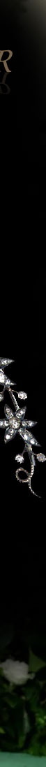 VEVER Diamond Spray Devante de Corsage Ornament Jewelry | Diamond Stomacher Famous Important Jewels History| Metgala 2024 Anna Wintour anna wintour,anna wintour jeweles,vever,vever paris,vever spray brooch,diamond spray,naturalistic flower brooch,greatjewellerycollector,Jewelry,Famous Important Jewels History,jewel historys,corsage ornament,stomacher,devante de corsage,,antique,important,history,imperial,royal jewels,jewellry,jewellery,diamant,diamonds,jewelry history,large diamond spray,vever stomacher,tour de corsage,tour de decollete,vever stomacher,vever spray,vever corsage ornament,metgala,diamond flower brooch,large brooch,broche,joyas,vever paris