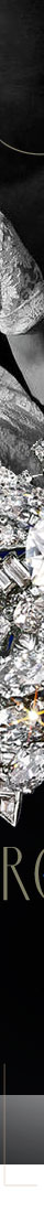 Margaret Thompson Biddle|CARTIER Diamond Brooch Palmtree | Important Diamond Jewellery History|gilded age jewels wealthy families of America mrs thompson biddle,margaret thompson,important diamonds,,Margret Thompson's biddles famous jewels,Chaumet tiaras,chaumet diadem,chaumet art deco tiara,amerika,america,usa,royals,collection,royal jewels,schmuck,gold,tiara,diadema,diadem,diamant,diamonds,Schmucksammlungen,jewellery,collector,brosche,diamond,dynasty,New York,antikschmuck,emerald choker,emerald and diamond necklace,thompson drexel biddle jewels,chaumets diamond tiara,famous collier,golden age,dollarprincess,american heiress,pearshaped diamonds,american royals,greatjewelrycollectors,diamonds,ambassador,joyas,necklace with large diamonds,collier of pear shaped drops,30ths,historic jewels,important colliers,history of jewellery  PALM-TREE  BROOCH  cartiericonic  cartierpalmtree cartieretlesartsdelislam  cartierauxsourcesdelamodernite  brochepincepalmier  plamtreeclipbrooch Margaret Thompson Biddle diamond drops