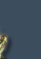 crown jewels,kronjuwelen,emerald,emeralds,smaragd,denmark,danmark,collier,Juwelen sammlung daenemark,Jewels,crownprincess,royals,royal jewels,schmuck,diamant,diamonds,Schmucksammlungen,danish,queen