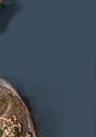 Emerald Crown Jewels Danmark