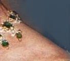 Emerald Crown Jewels Danmark