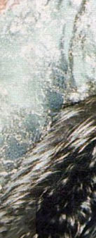 Emerald Crown Jewels Danmark