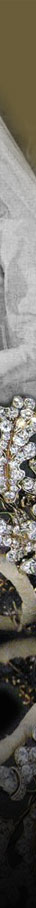 Acorn marriage of the Earl of Dumfries eldest son and heir of the Marquess and Marchioness of Bute, to Miss Nicola Weld-Forester acorns and oak leaves to match the magnificent diamond  heirloom Stuart tiara