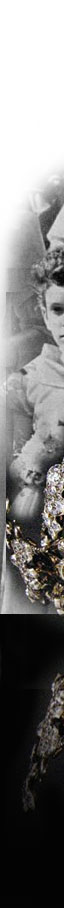 Acorn marriage of the Earl of Dumfries eldest son and heir of the Marquess and Marchioness of Bute, to Miss Nicola Weld-Forester acorns and oak leaves to match the magnificent diamond  heirloom Stuart tiara 