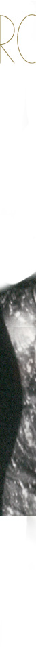 Sapphires Princess Alexandra of Kent Lady Ogilvy| Ogilvy Diamond Flower Tiara with Sapphires| British Royal Jewel History|Princess Katherine of Greece| Lady Katherine Brandram sapphires,sapphire tiara,sapphire diadem,princess alexandra,ogilvy,lady ogilvy,ogilvy diamond flower tiara,ogilvy tiara,diadem,tiara,Wedding Gifts, princess alexandra of kent,princess alexandra windsor, Kent,diamond,historische,Diamanten,kent,duchess,geschenk,jewellery,knigliche,royal jewels,englisch,schmuck,Britain,England,Brillanten,diamant,diamonds,royal,jewrelry,royalty,royals.british royal family,britishroyaljewels,princess katherine of greece,ldady brandram,princess katherine of greece and denmark