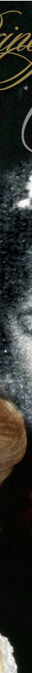 Sapphires Princess Alexandra of Kent Lady Ogilvy| Ogilvy Diamond Flower Tiara with Sapphires| British Royal Jewel History|Princess Katherine of Greece| Lady Katherine Brandram sapphires,sapphire tiara,sapphire diadem,princess alexandra,ogilvy,lady ogilvy,ogilvy diamond flower tiara,ogilvy tiara,diadem,tiara,Wedding Gifts, princess alexandra of kent,princess alexandra windsor, Kent,diamond,historische,Diamanten,kent,duchess,geschenk,jewellery,knigliche,royal jewels,englisch,schmuck,Britain,England,Brillanten,diamant,diamonds,royal,jewrelry,royalty,royals.british royal family,britishroyaljewels,princess katherine of greece,ldady brandram,princess katherine of greece and denmark