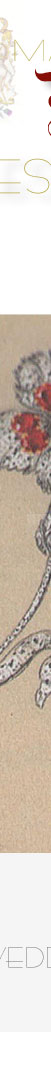 Princess Marie Louise of Schleswig-Holstein|Princess of Great Britain| Spray of Diamonds and Rubies from the Emperor of Austria Wedding Gift Jewelry Royal Present,godfather present,The Emperor&rsquo;s Ruby and Diamond Carnation Spray,princess Louises Ruby and Diamond Carnation Spray,Marie Louise,Schleswig-Holstein,Princess,Aribert,Anhalt,Wedding,ruby diamond brooch,flower brooch,koechert brroch,Diamond,Kaiser Geschenk,godfather, geschenk,schmuck,diamant,diamonds,prinzessin,present,gifts,schmuck,jewels,wedding,marriage,princess of great britain,queen,queen victoria decentent,ruby diamond flower brooch,Princess Louise's Princess Marie Louise of Schleswig-Holstein|Princess of Great Britain| Spray of Diamonds and Rubies from the Emperor of Austria Wedding Gift Jewelry Royal Present The Emperor&rsquo;s Ruby and Diamond Carnation Spray brooch,british royal jewels,Princess Louise's carnation spray brooch,royal family jewels