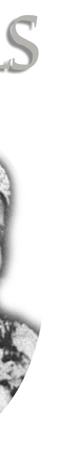 Pembroke wedding, Pembroke marriage, pembroke wedding tiara,pembroke marriage tiara,art deco bandeau, Lady diamond tiara Diamond Bandeau Diadem Tiara| Countess of Pembroke|Lady Mary Herbert Wedding Presents |Royal Jewel History countess pembroke,lady mary hope wedding,earl of pembroke wedding,diamond bandeau wedding gift,diamond bandeau art deco bande in diamonds