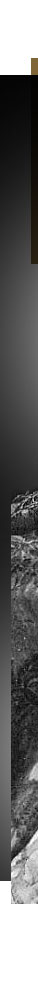 Countess of Kilmorey seven line Diamond Tiara and six line diamond dog collar | Ella Constance Countess of Kilmorey Prince Francis of Teck's last will British Nobel and Royal Heirloom Jewels History,Tiara,Countess Kilmorey*s diamond tiara,russian Tiara,diamond tiara,Diamond Jewel,Suite t,Heirloom,Jewels,History,Tiara,royal jewels,schmuck,tiaras,diadem,diamant,diamonds,jewellry,jewellery,joaillier,Joaillerie,jewelhistory,jewels,aristorcratic tiaras,coronation jewels,coronation tiaras,coronation 1902, coronation 1911,diamond chocker,diamond necklace,important jewels,british royal jewel history,cartier tiara,cartier diadem,cartier tiare,cartier diademascartier tiara,cartier diadem,cartier tiare,cartier diademas