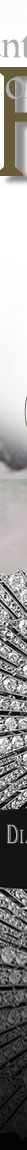 Cartier diamond sun tiara,diamond sun diadem,Countess Suffolk,Dollarprincess Daisy Leiter,cartier tiara,suffolk tiara,diamond sun tiara,sunburst tiara,sun diadem, jewels earl of Suffolk and Berkshire, England Aristocratic Noble Jewel History,Lady suffolk,England Aristocratic Noble Jewel History History noble,jewelry,Miss Marguerite Hyde Leiter,Miss Daisy Leiter,sister of Lady Curzon, Vicreine of India,Dollarprincess,marriage,diamants,diamonds,diadem,diademe,diademes,heirloom,greatjewellery collectors,Jewel,diamant,suffolk cartier tiara,historic jewelry,nobles tiara,diamondtiara,wedding,bride,bridal,royal gifts,royal presents,aristocratic tiaras,art deco tiara,1904,cartier sunburst tiara