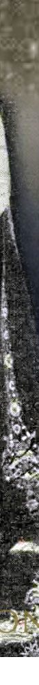 Marchioness of Willingdon|Vicereine of India| Diamond Pearl Tiara|British Noble Aristocratic Tiaras Royal Jewel History diamond pearl tiara,marchioness of willingdon,Countess,viscountess willingdon,jewelry,vicereine of india,festoon tiara,tiara of 2 vicereines,diamants,diamonds,diadem,diademe,diademes,high diamond tiara,pearl and diamond diadem,Jewel,diamant,relezas,historic jewelry,festoon,ornament,diamonds,wedding,bride,bridal,royalweddings,royalwedding,bridaljewels,coronation,marchioness,marquesses,wedding,marriage,nobles,aristo,britishroyal jewels,royals,royal family germany,royals,festoon tiara,pearl tiara,pearl diamond tiara,festoon diamond diadem,,british aristocraty,royal tiaras,royaltiara,,diamond festoon diademe,diamond festoon diademas,diamond,joyas,festoon tiara,duchess grafton tiara,verulam tiara,willingdon pearl and diamond tiara,lady smith,duchess tiaras,countess,verulam,lady verulam,