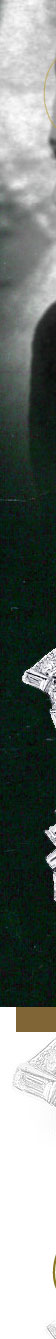 CARTIER Diamond Rose Clip Brooch | Princess Margaret of England Great  Britain Countess Snowdon| Royal Jewel History  Royal Jewel History royal,royalty,royalfamily royaljewels,1952,brooch,flower brooch,diamond,rose brooch,diamond rose Brooches, Maori ship aunch gift in 1952 Vickers Armstrong naval yard,maori ship launch brooch,countess of snowdon,history  england  uk  britain monarchy  britishmonarchy  britishroyals  britishroyalfamily,present from ,gift,pin,Princess Margaret's brooch,diamond brooch,cartier rose brooch,cartier diamond brooch,cartier rose clip,cartier flower brooch,cartier diamond flower,cartier diamond rose,cartier art deco,cartier london