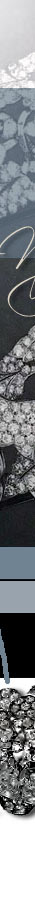 The Diamond Tiara in orginal, with The Queen's Nizam of Hyderabad Rose Brooches| Queen Elizabeth II Royal Wedding Gift| Royal Jewel History| Cartier cartier tiara, tiara with the nizam of hyderabad rose brooch,royal the nizam of hyderabad rose brooches,queen elizabethII, platinum jubilee,cartier brooches,cartier brooch, present from the Nizam of Hyderabad,Queen Elizabeth II,british,england,royal wedding,princess elizabeth,birthday present,wedding present,wedding gift,marriage present,marrige gift,Gift,diamond rose brooch,rose brooch,brooch,,pin,royal jewels,rose bude Diadem,rose flower Tiara,Schmuck,royals,royal jewels,diamant,diamonds,kaufe,krone,diademe,british royals,royalty,royalfamily,kaufen,verkaufen,history,corbeille de mariage,cadeau,cadeaux,royale