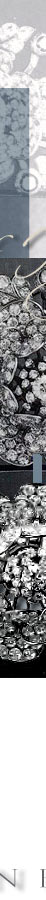The Diamond Tiara in orginal, with The Queen's Nizam of Hyderabad Rose Brooches| Queen Elizabeth II Royal Wedding Gift| Royal Jewel History| Cartier cartier tiara, tiara with the nizam of hyderabad rose brooch,royal the nizam of hyderabad rose brooches,queen elizabethII, platinum jubilee,cartier brooches,cartier brooch, present from the Nizam of Hyderabad,Queen Elizabeth II,british,england,royal wedding,princess elizabeth,birthday present,wedding present,wedding gift,marriage present,marrige gift,Gift,diamond rose brooch,rose brooch,brooch,,pin,royal jewels,rose bude Diadem,rose flower Tiara,Schmuck,royals,royal jewels,diamant,diamonds,kaufe,krone,diademe,british royals,royalty,royalfamily,kaufen,verkaufen,history,corbeille de mariage,cadeau,cadeaux,royale
