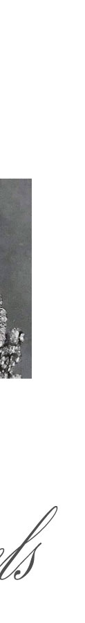 The Diamond Tiara in orginal, with The Queen's Nizam of Hyderabad Rose Brooches| Queen Elizabeth II Royal Wedding Gift| Royal Jewel History| Cartier cartier tiara, tiara with the nizam of hyderabad rose brooch,royal the nizam of hyderabad rose brooches,queen elizabethII, platinum jubilee,cartier brooches,cartier brooch, present from the Nizam of Hyderabad,Queen Elizabeth II,british,england,royal wedding,princess elizabeth,birthday present,wedding present,wedding gift,marriage present,marrige gift,Gift,diamond rose brooch,rose brooch,brooch,,pin,royal jewels,rose bude Diadem,rose flower Tiara,Schmuck,royals,royal jewels,diamant,diamonds,kaufe,krone,diademe,british royals,royalty,royalfamily,kaufen,verkaufen,history,corbeille de mariage,cadeau,cadeaux,royale