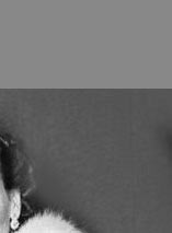 Gloucester -Diamond Bow brooch - Hochzeitsgeschenke