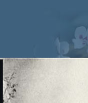 Faberges Gold and diamond 
Cyclamen Tiara 