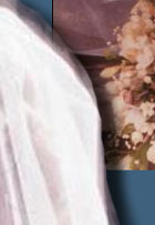 Diamond Spinel Diamant Diadem Diamonds | Nobel historic Jewelry royal jewels| Duke of Westminster