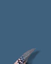 Chaumet Diamond Wings Tiara  - Valkyrie's Wings | Nobel historic Jewelry royal jewels| Duke of Westminster