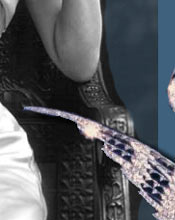 Chaumet Diamond Wings Tiara  - Valkyrie's Wings | Nobel historic Jewelry royal jewels| Duke of Westminster