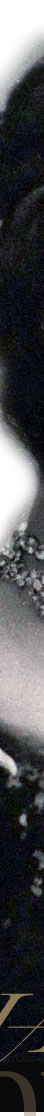 Diamond Tiara Chaumet Marie-Doroth�e Duchesse d'Orl�ans|Crown Jewels France|Archduchess Marie Dorothea of Austria| Royal Wedding Gifts diamond tiara,diamonds,diamonddiadem,duchess of orleans,royal imperial Wedding hochzeit Duchess of Orl�ans,corbeille de mariage,cadeaux,joyaux royales,boda,wedding gift, marriage presents,jewels,orleans diamonds,crown,jewels,imperial,jewels,joyaux,bijouterie,franz�sische,France,Frankreich,
 bijoux,Diamond Jewel,Kaiserin,Diamant,joyau de la Couronne,important,jewelry,parure,fleur de lys,burbonenlilie aus Brillanten und Rubinen,halsband,necklace,brooche,brosche,earrings,diamond tiara,hochzeit,brosche,brooch fleur de lys,bubies,ruby brooch