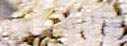Woodbine Tiara| Bl�ten-Diadem des Hannover Schatzes| Diamant-Tiara mit Geissblatt-Bl�ten| Royal Imperial Diademe Honeysuckle Hanover | Princess of Hannover brooche bouquet splendeurs imperiales| Royal Diamond Jewel Crowns Tiaras Schmuck Juwelen Geschichte - k�niglicher Schmuck Juwelen |  history story of jewelry 