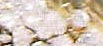 Woodbine Tiara| Bl�ten-Diadem des Hannover Schatzes| Diamant-Tiara mit Geissblatt-Bl�ten| Royal Imperial Diademe Honeysuckle Hanover | Princess of Hannover brooche bouquet splendeurs imperiales| Royal Diamond Jewel Crowns Tiaras Schmuck Juwelen Geschichte - k�niglicher Schmuck Juwelen |  history story of jewelry 