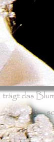 Woodbine Tiara| Bl�ten-Diadem des Hannover Schatzes| Diamant-Tiara mit Geissblatt-Bl�ten| Royal Imperial Diademe Honeysuckle Hanover | Princess of Hannover brooche bouquet splendeurs imperiales| Royal Diamond Jewel Crowns Tiaras Schmuck Juwelen Geschichte - k�niglicher Schmuck Juwelen |  history story of jewelry 
