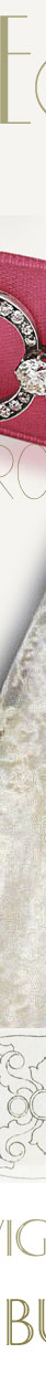 Princess Elisabeth of Schleswig-Holstein-Sonderburg granddaughter of Alexandra Grand Duchess of Mecklenburg-Schwerin| Wedding jewels in the year 1975 as bride| Diamant Chocker Collier de Chien by Koechert| Emperor of Austria Wedding Gift princess elisabeth of schleswig-holstein-sonderburg,princess elisabeth of ysenburg-bdingen,alexandra hanover-cumberland,kaiser,royal wedding,royal marriage,wedding gift,marriage present,kchert,koechert,chollier de chien,bandeau,diamond collier,diamond necklace,diamond choker,Historic Jewels |Royal Imperial Jewelry,Mecklenburg-Schwerin,Herzogin, jewels,diamant,diamonds,duchess,Prinzessin Alexandra von Grobritannien und Irland, Herzogin zu Braunschweig-Lneburg,cadeaux royale,corbeille de mariage,esclavage,welfen,guelphes,princess of hanover,duchess of cumberland