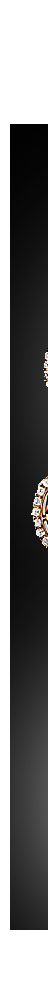 Sapphire Diamond Necklace made by Bolin Princess Alexandra von Hannover-Cumberland Grossherzogin von Mecklenburg-Schwerin,bolin,Diamond Tiara,historic,fabergetiara,Jewels,cumberland,hanover,hannover,Royal,Imperial Jewelry,Mecklenburg-Schwerin,Herzogin,Antikschmuck,Geschenk,Schmuck antik,jewels,diamant,diamonds,grand duchess,royals,royal wedding,gift,imperial jeweller,sapphir jewellery,imperial sapphire and diamond jewels,important necklace, choker,collier,sapphire collier,imperial sapphire collier,romanov sapphires,empress of russia sapphire gift 