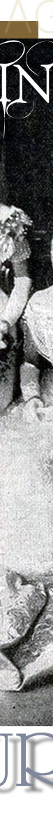 Köchert Rubin Schmuck von Erzherzogin Elisabeth Amalie,Hochzeit Erzherzogin Elisabeth Amalievon Österreich | Prinzessin von und zu Liechtenstein | Köchert Juwelen Kaisergeschenke Rubin und Diamant Bandeau köchert,Rubin und Diamant Brosche Köchert,Brautschmuck der Erzherzogin Elisabeth Amalie Wien 1903, kaiserliche Geschenke, Diamant-Riviere, Köchert-Archiv, Geschenkelisten,Fürstenhaus Liechtenstein,tiara,diademe,imperial jewels,joyas reales,realeza,archduchess elisabeth amalia,princess of liechtenstein,princess of liechtenstein jewels,princss of liechtenstein diamond tiara,ruby tiara,diadem liechtenstein,wedding