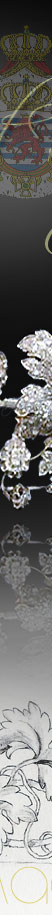 Grand Duchess of Luxembourg| Diademe de la Grande-Duchesse du Luxembourg|Vine Leaves Tiara, Diamond Wedding Tiara| Royal Jewels History vine leaves diamond tiara,diadem,vine leaves tiara,charlotte,princess charlotte,hausschmuck,royal jewels,Grossherzogin,diamond,Grossherzog,schmuck,Grand Duchess  Diamanten,diamant,vu Ltzebuerg,diamonds,grape leaves,leaf,nassau,grand duchess,luxemburg,grand duchesse,luxembourg,koenigliche Schmucksammlungen,grand duke,Geschenk,Grossherzog, uxemburg,diadem,tiara,royal jewel history,royalfamily,duchesse,sketch of jewels,sketch,kchert,koechert,weinlaub,weinlaub diadem,hochzeits tiara