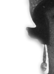 Princess Charlotte of Monaco wearing the 