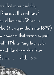 click for a large image