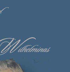 Crownprincess Maxima Tiara