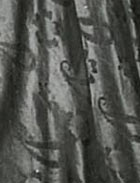  Holland | Netherlands | Oranje Jewels