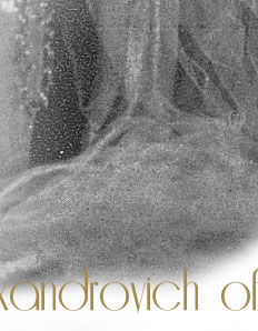 Princess Irina Pavlovna Paley | Russian Imperial Wedding Jewels| Imperial Russia Romanov
 Irina Pavlovna Paley Irina Princesse Paley, Princesse Romanovskaya, comtesse de Monbrison Princess Irina Pavlovna Paley | Russian Imperial Wedding Jewels| Grand Duke Feodor Alexandrovich of Russia | Romanov