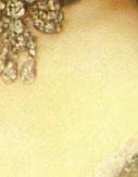 Royal swedish jewels Kungliga smycken,#Kungligasmycken,#swedenroyals #swedenroyaljewels #royaljewelhistory