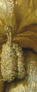 Royal swedish jewels